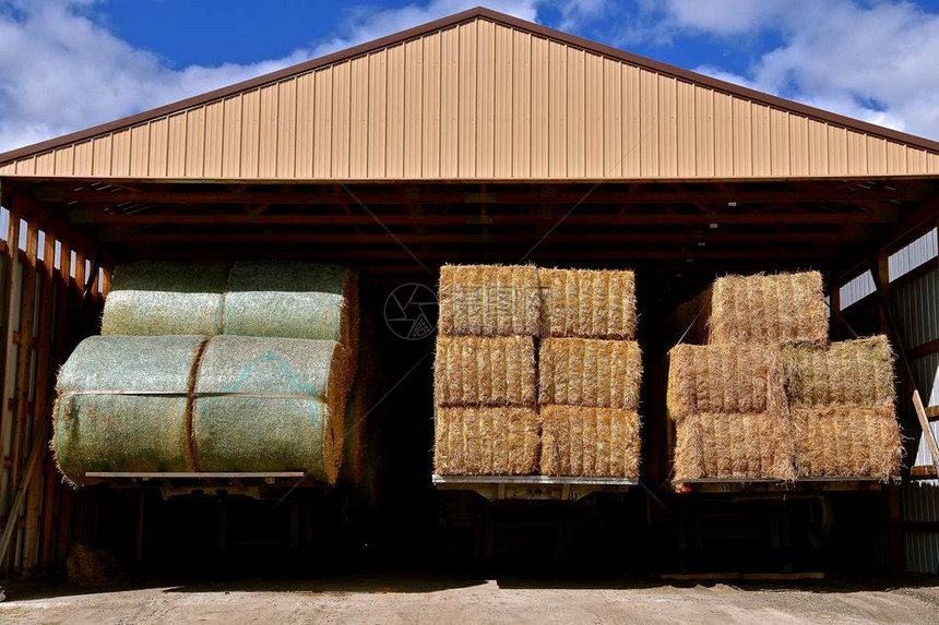 三辆大干草拖车停在一个棚子的庇护下图片