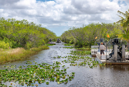 在佛罗里达州Everglades公园图片