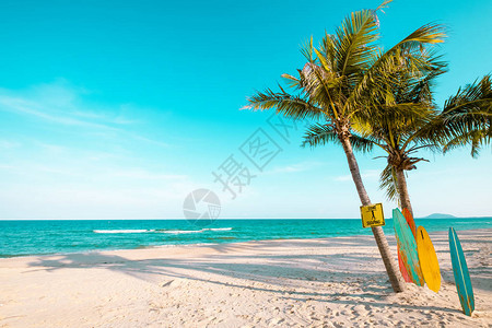 夏季热带海滩上带棕榈树的复古冲浪板复古色调图片