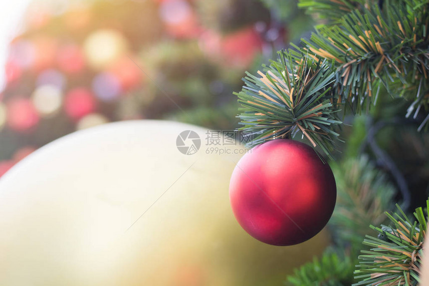树背景上的圣诞球图片