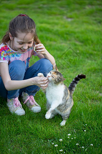 一个女孩喂一只流浪猫图片