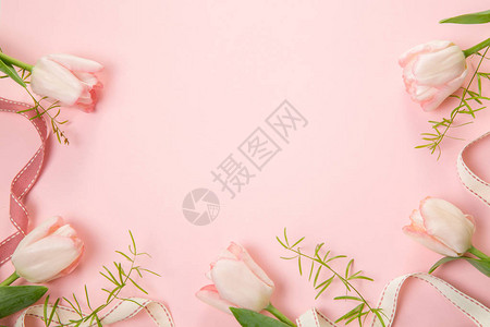 淡粉色背景上的节日花粉色郁金香组成图片