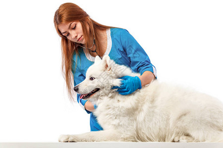 与狗一起微笑的兽医在兽医诊所的桌子图片