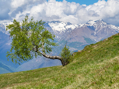 在LagodiComo山上一座山坡上水平向图片