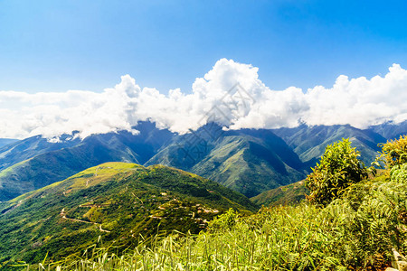 Coroico玻利维亚对Yungas山图片