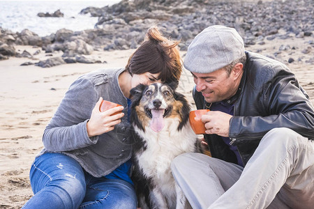 家庭与边境牧羊犬在海滩上度假图片