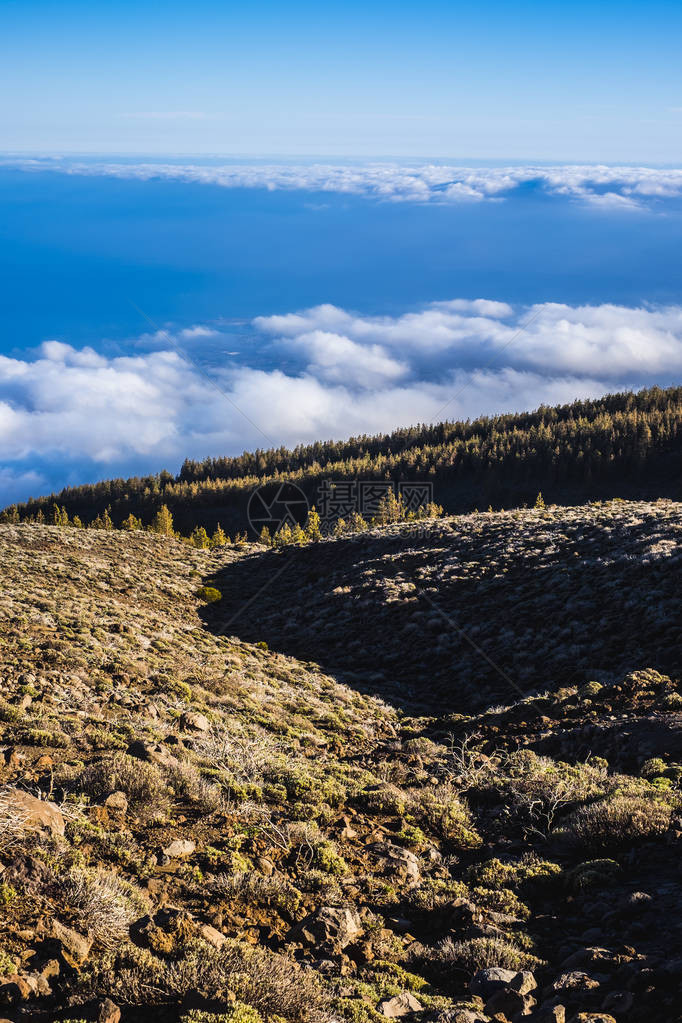 从顶端看山顶的云层与近处植物相望特纳里费德沃尔坎公园中美图片