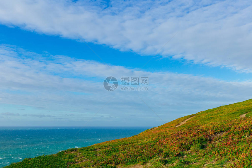 具有绿草和美丽的海图片