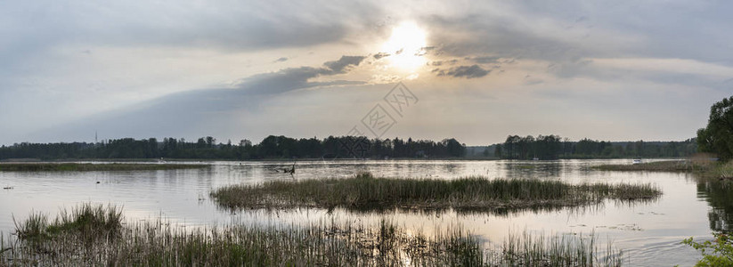 波兰Narew河图片