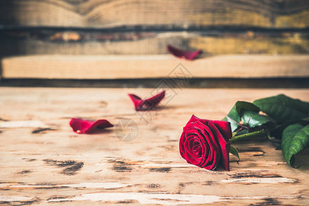 红玫瑰在木制背景上情人节背景上顶图片