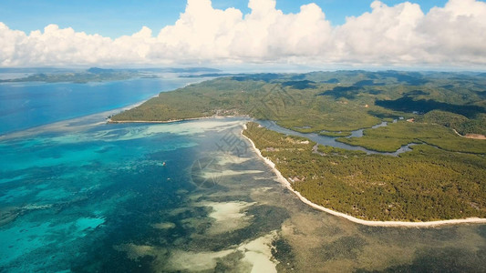 有沙滩棕榈树菲律宾锡亚高岛热带海滩的鸟瞰图热带景观图片