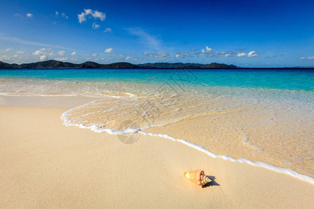 在小岛屿海滩上的海螺蓝天背景的图片