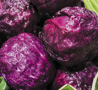 市场上有水滴的紫白菜图片