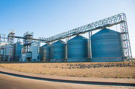 工业厂用于粮食生产的粮仓背景图片