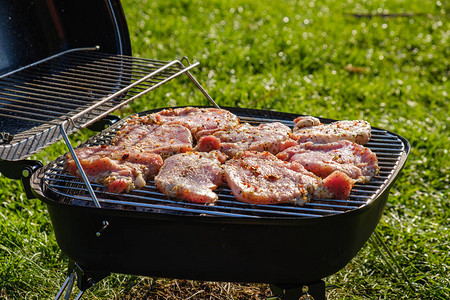 烤肉烤肉和食物概念在草地上安装烧烤炉的新鲜肉类和蔬菜图片