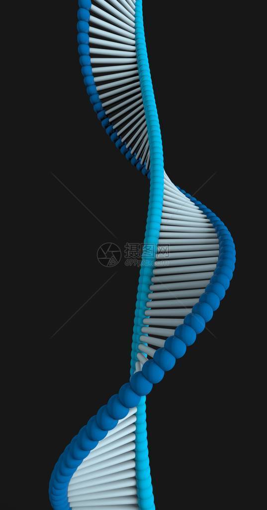 携带用于所有已知活生物体和许多的生长发育功能和繁殖的遗传指令图片