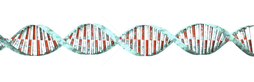 携带用于所有已知活生物体和许多的生长发育功能和繁殖的遗传指令图片