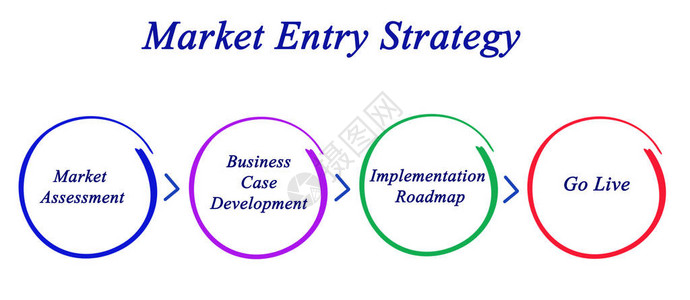 市场进入战略的组成部分图片