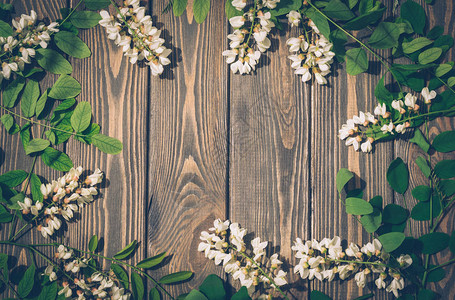 三位一体的春天明信片深色木背景上的白色开花相思树背景图片