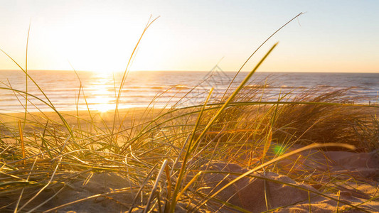 荷兰特克塞尔岛海滩日落图片