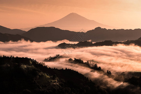 清晨的富士山与美丽的雾海图片