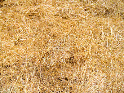 马纹理的稻草背景图片