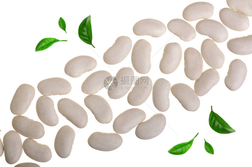 白肾豆装饰的绿色叶子与白色背图片