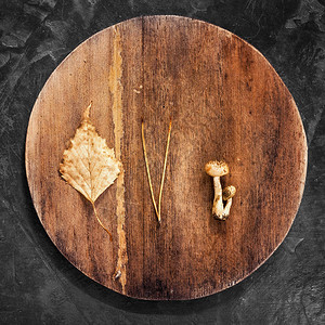 圆木板上的蘑菇叶和针的成分图片