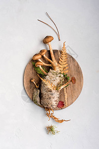 蘑菇桦树皮和森林叶子的装饰成分在白色背景复古形象素食主图片