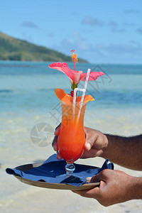 斐济服务员在斐济亚萨瓦群岛度假胜地的海滩上提供红鸡尾酒和红色Hib背景图片