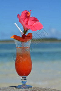 在斐济亚萨瓦群岛的度假胜地沙滩上供应红色Hibiscus鲜花图片