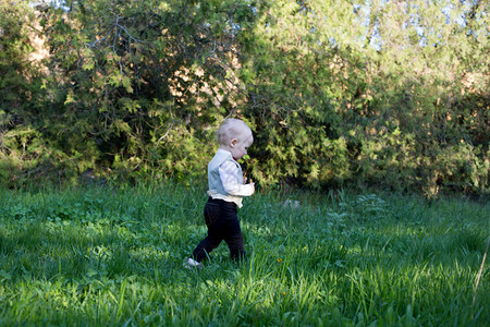 小男孩在野外绿草图片