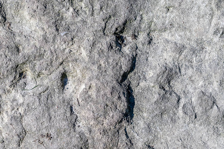 灰岩粗纹理图片