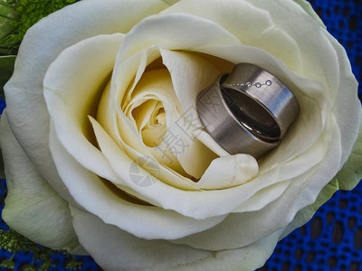 两个银色的结婚戒指夹在奶油玫瑰上的宝石图片