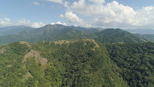 鸟瞰覆盖着绿色森林蓝天树木的山脉山坡与热带森林菲律宾图片