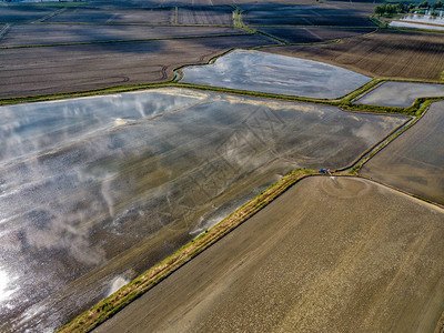 北意大利空中观察地带农耕洪田的图片