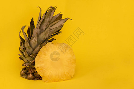 菠萝叶的顶部和黄色背景上的圆片图片