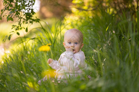 小天主教女婴坐在森林里的草地上自然界的美丽婴图片