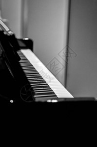 出售独家钢琴和皇家三角钢琴的豪华钢琴店乐器店图片