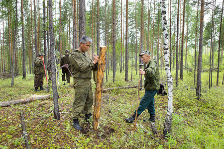 林业检查员与一群护林员在标出森林卫生采伐的地块背景图片