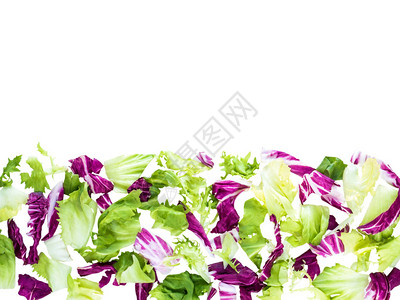 绿色和紫拉迪奇奥冰山内地和生菜沙拉的横向边界图片