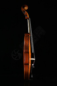 黑色背景中的小提琴图片