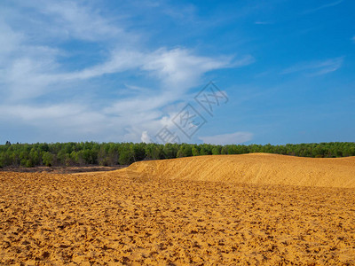 夏季日落红色沙丘风景树木和图片