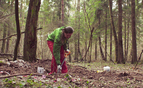森林里的女生态学家在挖土时用铲图片