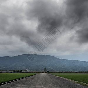 农场道路的乡村景观图片