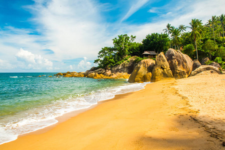 泰国KohSamui岛珊瑚湾图片