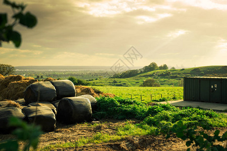 英国埃塞克斯郡一个农田图片