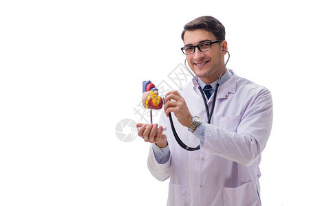 年轻医生心脏形状的年轻医生图片