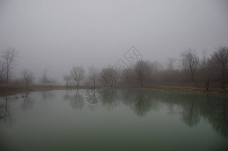 森林湖或美丽的森林湖中充满浓雾的风景图片