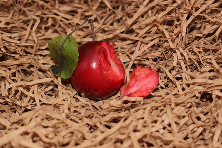 被咬的苹果躺在切碎的牛皮纸上苹果的右边有一块苹果外面是红色的图片